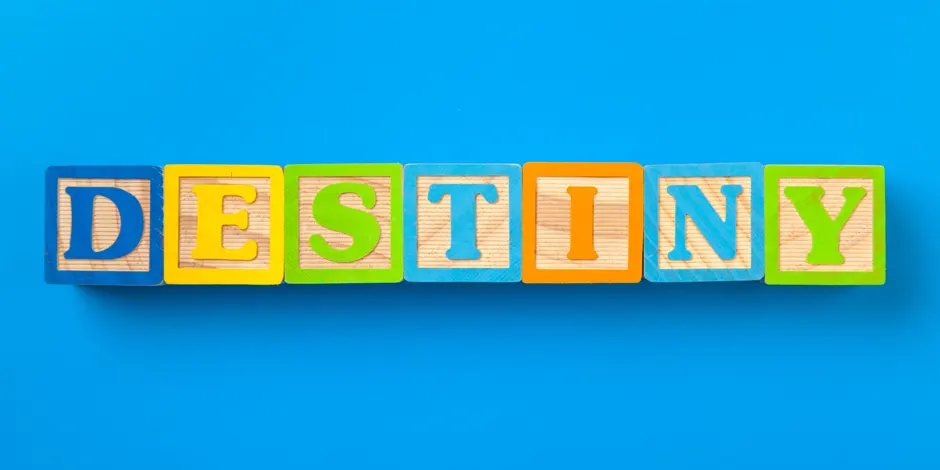 Customized Logo Design